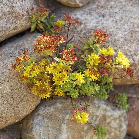 Nyaraló Lotsenstieg 15