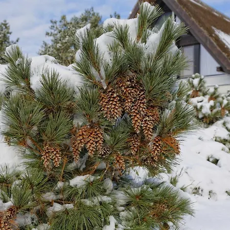Lotsenstieg 15 Nyaraló Karlshagen