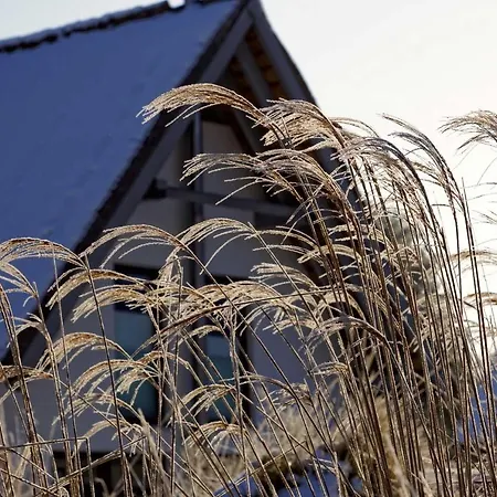 Nyaraló Lotsenstieg 15 *