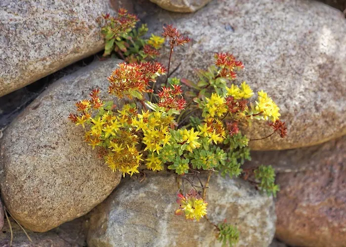 بيت للعطل Lotsenstieg 15