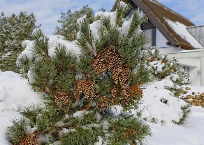 Lotsenstieg 15 بيت للعطل Karlshagen